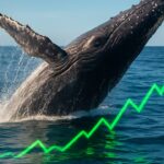 Grote walvis doorbreekt het wateroppervlak terwijl op de zee een groene stijgende koersgrafiek weerkaatst