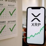 Wandkalender met groene vinkjes bij juli, augustus en september en een smartphone met het XRP-logo en een stijgende grafiek