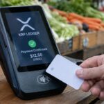 Betaalterminal op een marktkraam toont het XRP Ledger-logo en een afgeronde stablecoinbetaling